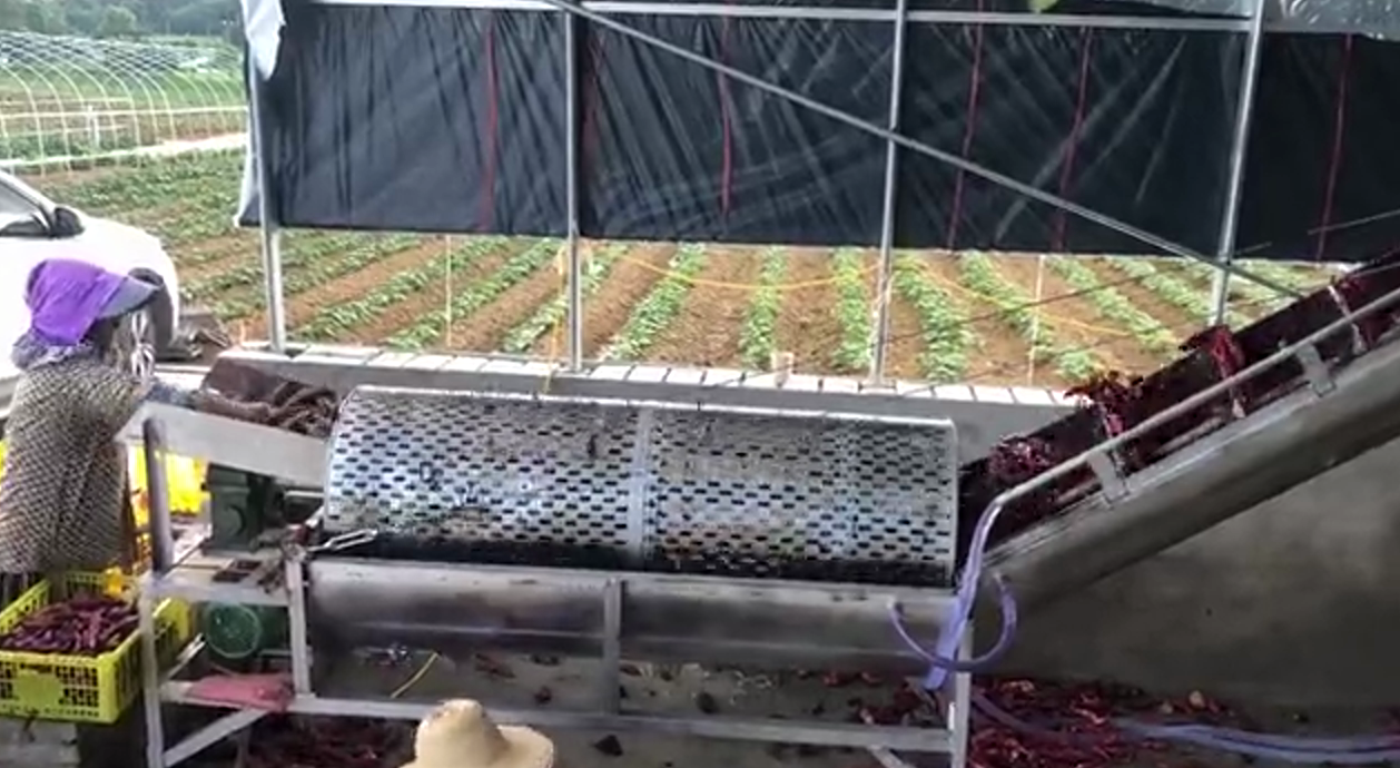 1733210129266748.png 1-210P1141644220.png